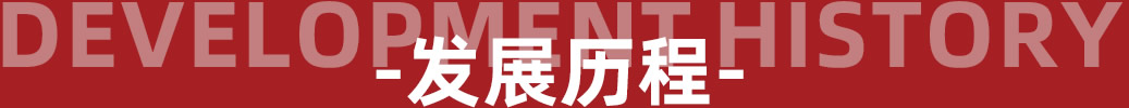 Development history - 發(fā)展歷程 - 羅曼羅蘭家紡